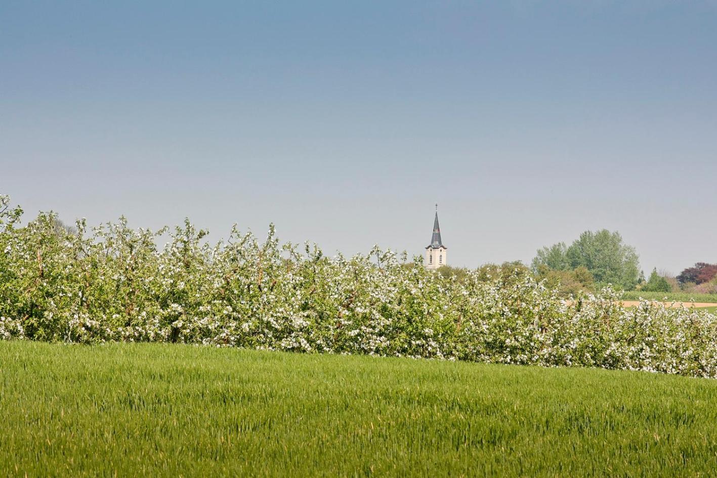 Rikkeshoeve Vakantiewoning Aalst ภายนอก รูปภาพ