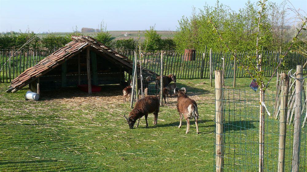 Rikkeshoeve Vakantiewoning Aalst ภายนอก รูปภาพ